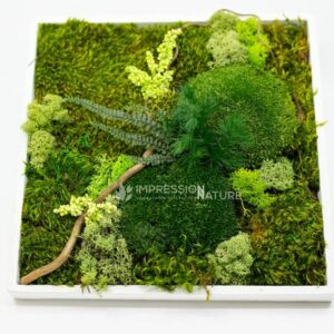 AR000567þCadre végétal carré