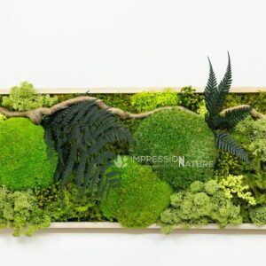 AR000568þCadre végétal allongé