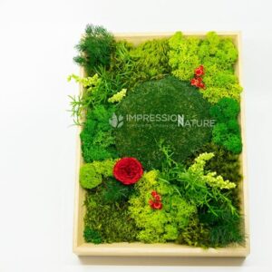 AR000569þCadre végétal rectangle